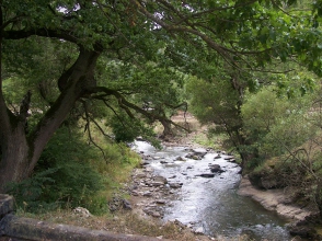 Գետիկ գետի մեջ երեխայի դի են հայտնաբերել