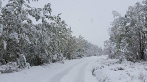 Օրվա կադր. Ապարանը հիմա