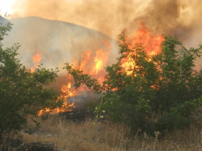 Հրդեհ «Դիլիջան» ազգային պարկում (լրացված)