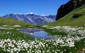 Օդի ջերմաստիճանը կնվազի, այնուհետև կբարձրանա