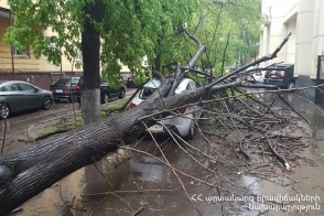 Ուժեղ քամու հետևանքով ծառն ընկել է ավտոմեքենայի վրա